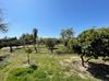 25798 N Mooney Blvd photo